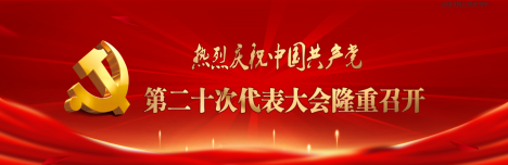 党的二十大专题